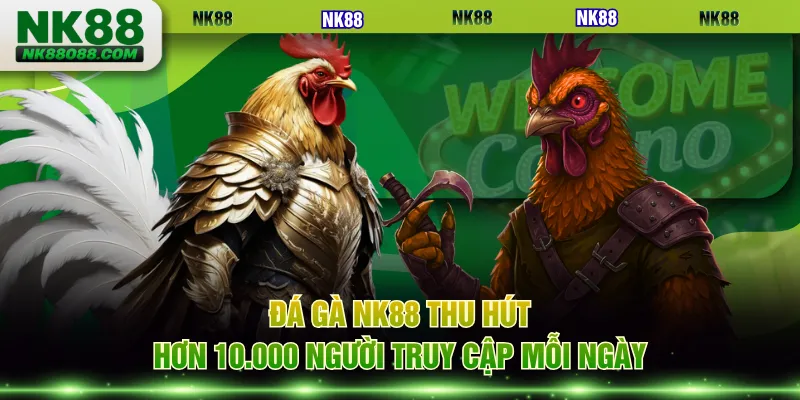 Đá gà NK88 thu hút hơn 10.000 người truy cập mỗi ngày
